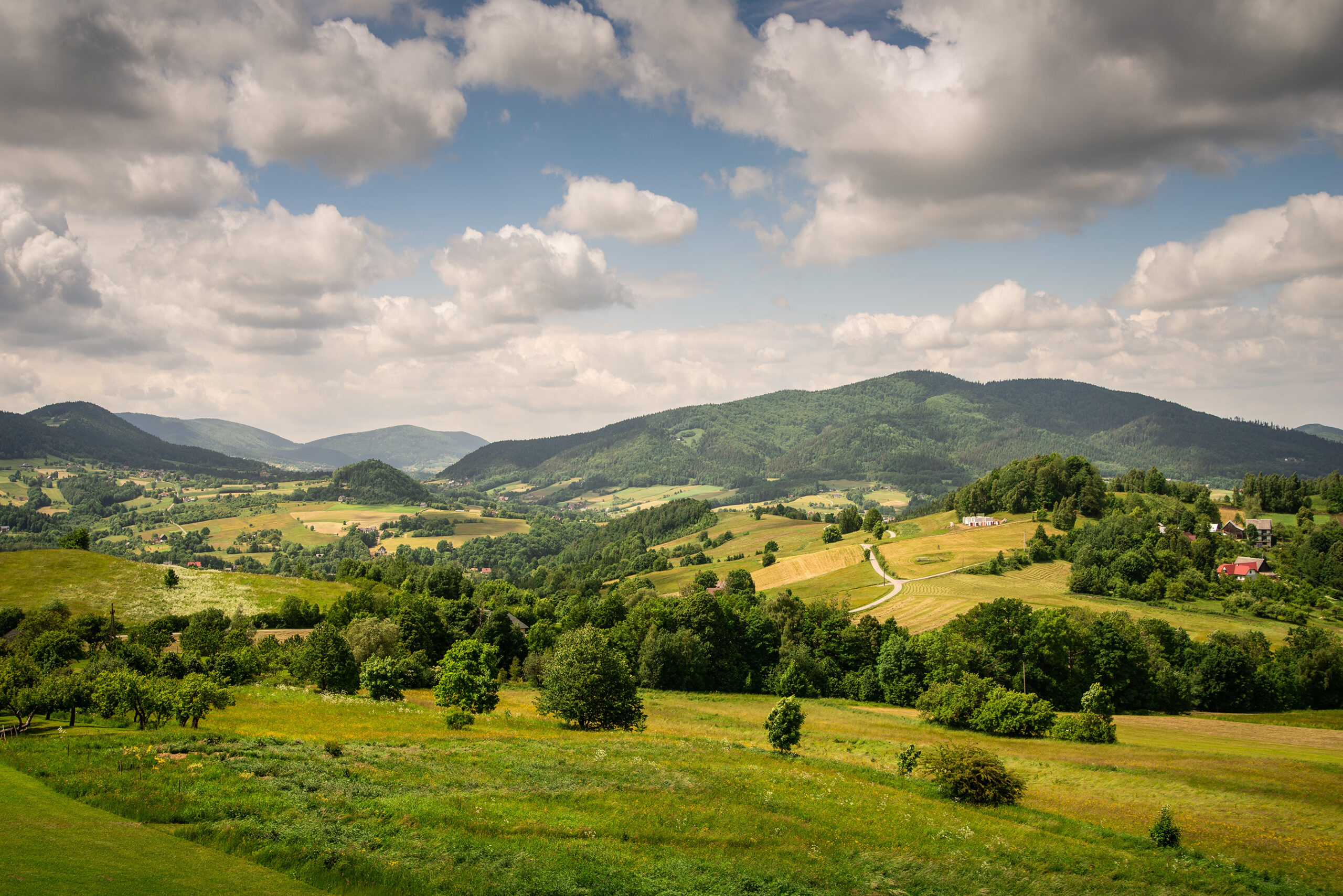 widok_pokoj_nr12
